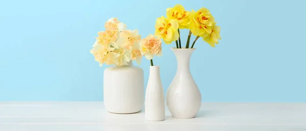 Jarrones Con Hermosas Flores Narcisas Sobre Mesa Sobre Fondo Azul —  Fotos de Stock