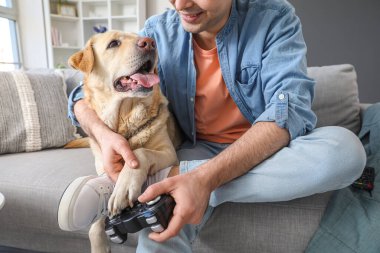 Labrador köpeği olan genç adam evde video oyunu oynuyor, yakın plan.