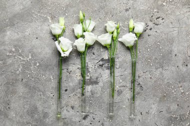 Grunge arka planında güzel Eustoma çiçekleri olan test tüpleri