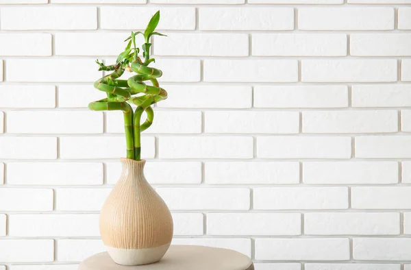 Vas Dengan Tanaman Bambu Atas Meja Dekat Dinding Bata — Stok Foto