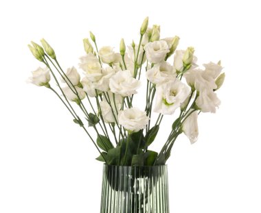 Beyaz arka planda narin Eustoma çiçekleri olan vazo, yakın plan.