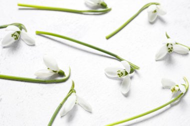 Gri arkaplanda güzel kar damlaları