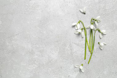 Gri arkaplanda güzel kar damlaları