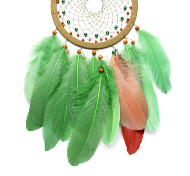 Güzel düş kapanı beyazda izole edilmiş.