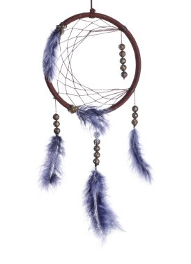 Beyaz arka planda güzel bir düş kapanı olan el.