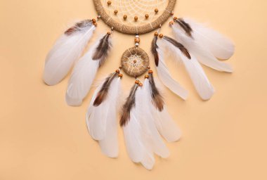 Bej arka planda güzel bir düş kapanı