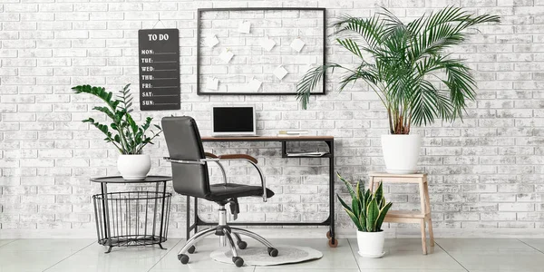 Stylish Workplace Laptop Houseplants Light Office — Stock Photo, Image