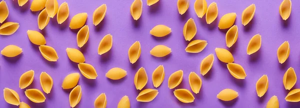 Dry Conchiglie Pasta Purple Background — Stock Photo, Image