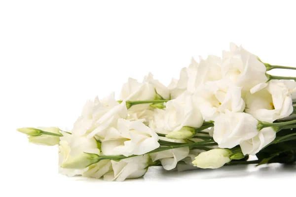 Bouquet Delicate Eustoma Flowers White Background Closeup — Stock Photo, Image