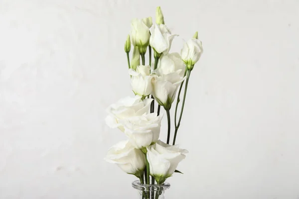Красиві Квіти Еустоми Світлому Фоні Крупним Планом — стокове фото