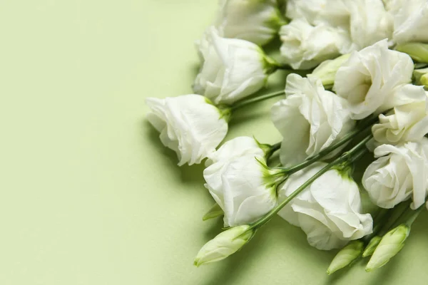 Fleurs Eustomes Blanches Sur Fond Vert Gros Plan — Photo