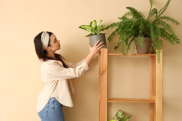 Junge Frau Stellt Grüne Zimmerpflanze Ins Regal Nahe Beiger Wand — Stockfoto