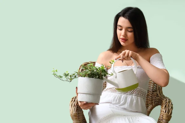 Young Woman Watering Houseplant Armchair Green Wall — Stock Photo, Image