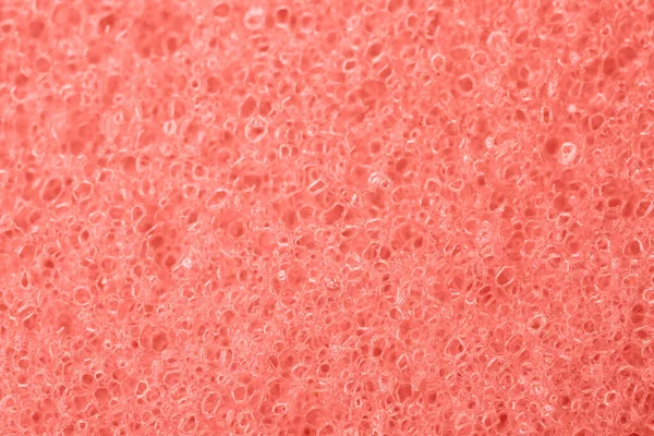 Closeup View Coral Bubbles Background — Stock Photo, Image