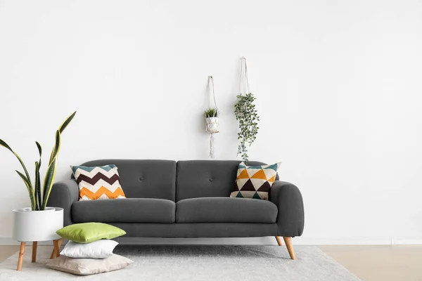 靠近白墙的舒适的黑色沙发 靠垫和室内盆栽 — 图库照片
