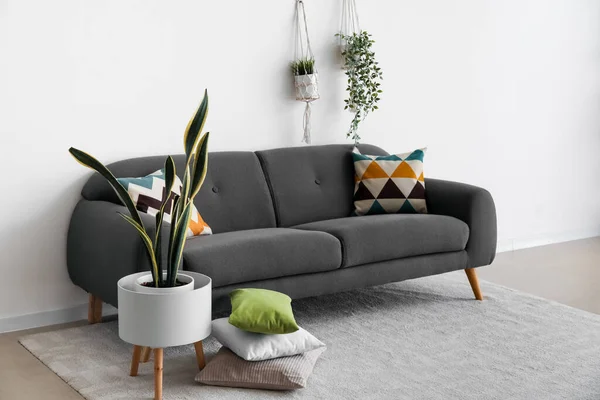Sofa Hitam Nyaman Dengan Bantal Dan Tanaman Rumah Dekat Dinding — Stok Foto