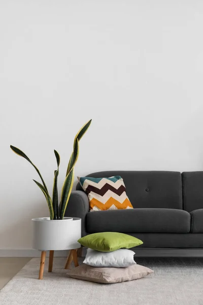 Cozy black sofa with cushions and houseplant near white wall
