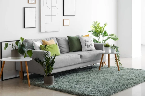 Interior Living Room Cozy Sofa Paintings Houseplants — Stock Photo, Image