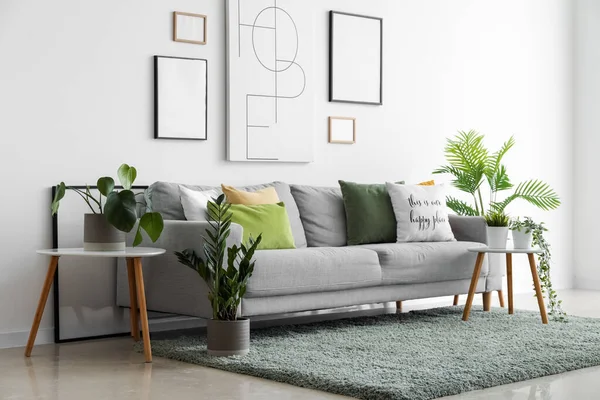 Interieur Des Wohnzimmers Mit Gemütlichem Sofa Gemälden Und Zimmerpflanzen — Stockfoto