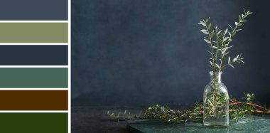 Koyu arkaplanda yeşil okaliptüs dalları olan vazo. Farklı renk desenleri