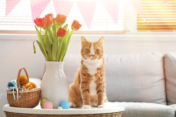 Милая Кошка Ваза Тюльпанами Пасхальная Корзина Столе Дома — стоковое фото