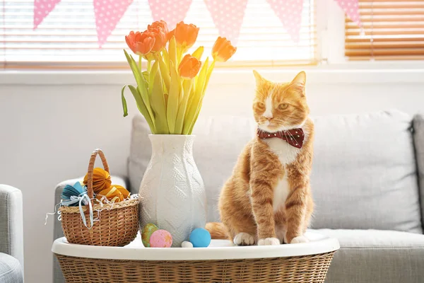 Милая Кошка Ваза Тюльпанами Пасхальная Корзина Столе Дома — стоковое фото
