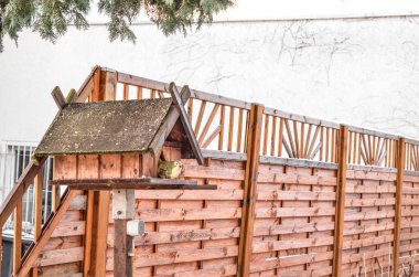 Açık havada ahşap kuş evi manzarası