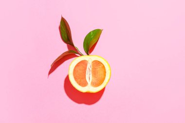 Pembe arka planda olgun greyfurt ve bitki dalının yarısı