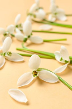 Bej arkaplanda güzel kar damlaları, yakın plan