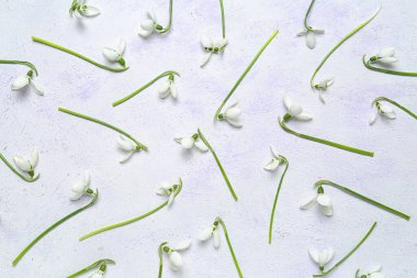 Gri arkaplanda bir sürü güzel kar damlası var.