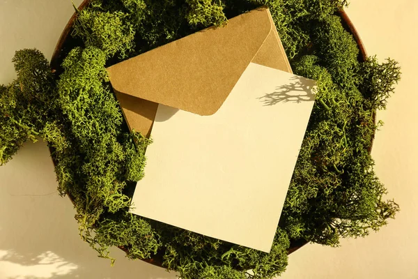 Composition with blank card, envelope and moss on color background, closeup