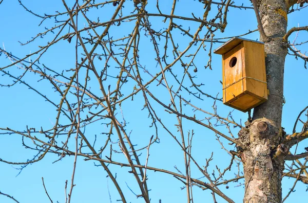 Vista Casa Uccelli Legno Albero — Foto Stock