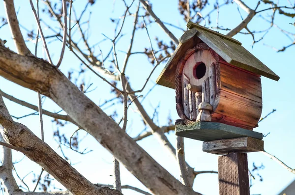 Pohled Dřevěný Domek Pro Ptáky — Stock fotografie
