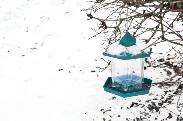 Pohled Ptačí Krmivo Pokryté Sněhem Zimním Dni Detailní Záběr — Stock fotografie
