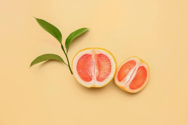 Composition Pieces Ripe Grapefruit Plant Branch Color Background — Stock Photo, Image