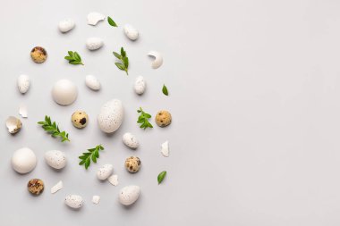 Gri arka planda Paskalya yumurtaları ve bitki yapraklarıyla yaratıcı kompozisyon