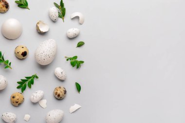 Paskalya yumurtaları ve gri arka planda bitki yapraklarıyla kompozisyon
