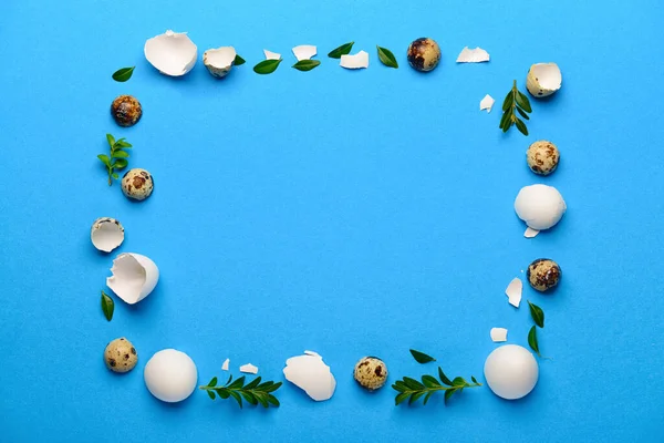 Telaio Fatto Uova Pasqua Foglie Piante Sfondo Blu — Foto Stock