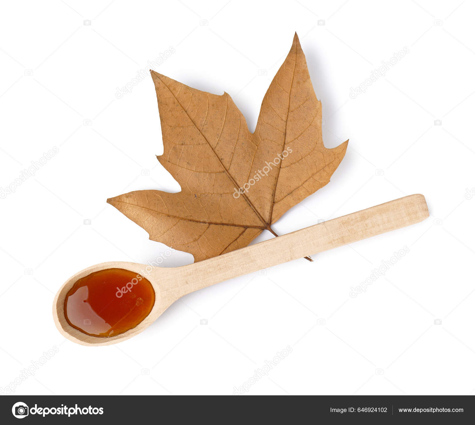 Coletando Seiva Do Tronco Da árvore De Maple Para Produzir Xarope