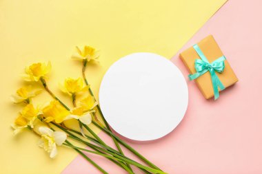 Güzel narsisus, hediye kutusu ve renkli arka planda yuvarlak boş kart.
