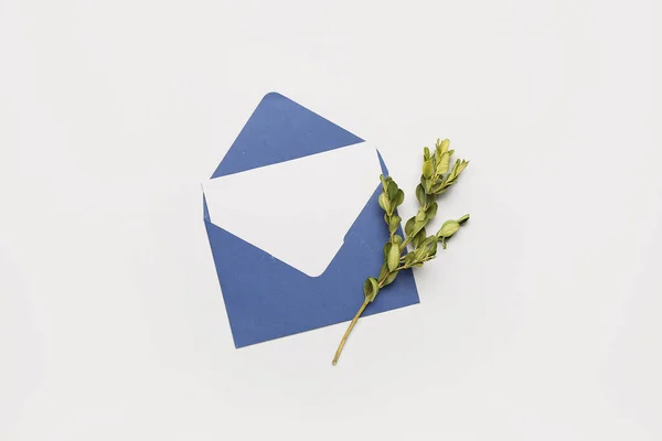 Envelope Com Cartão Branco Ramo Planta Fundo Branco — Fotografia de Stock