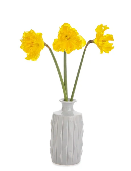 Vas Med Vackra Narcissus Blommor Vit Bakgrund — Stockfoto