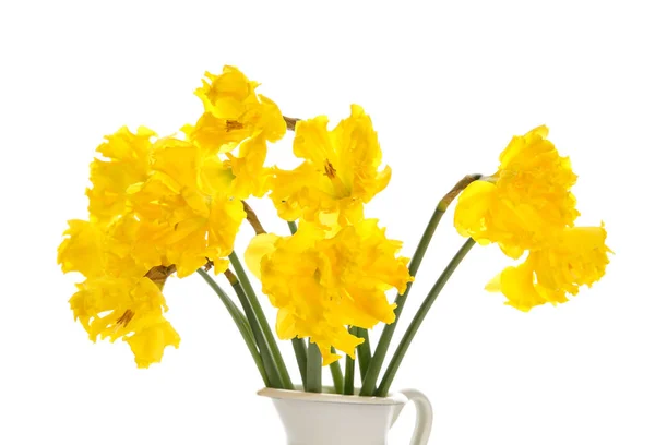 Vaso Com Belas Flores Narciso Fundo Branco — Fotografia de Stock