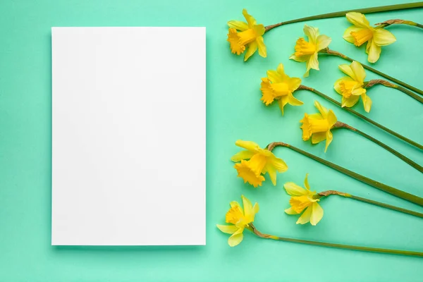 Beautiful Narcissus Rectangular Blank Card Color Background — Stock Photo, Image