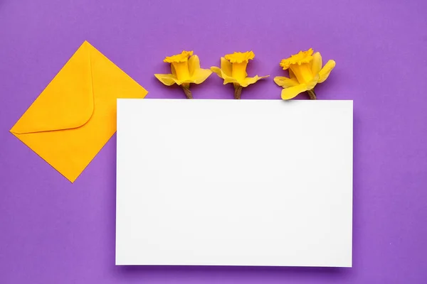 Schöne Narzisse Umschlag Und Rechteckige Blankokarte Auf Farbigem Hintergrund — Stockfoto