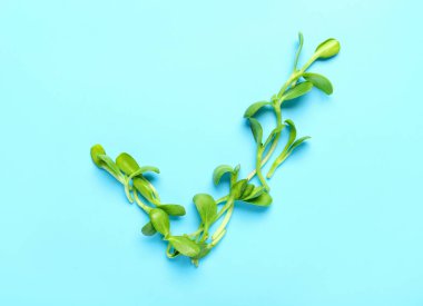 Mavi arkaplandaki lahanalardan yapılmış işaretleri işaretle