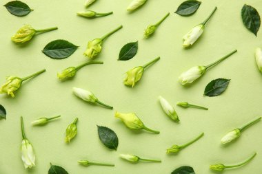 Yeşil arka planda güzel Eustoma çiçekleri ve bitki yaprakları olan kompozisyon