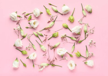 Pembe arka planda farklı çiçeklere sahip kompozisyon