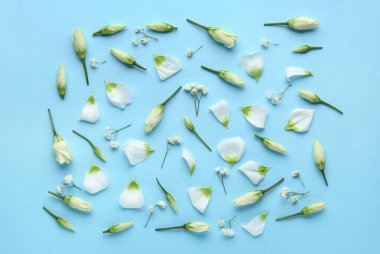 Renk arkaplan üzerinde Eustoma ve gypthe çiçekleri ile kompozisyon