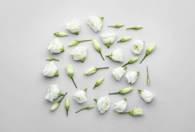 Hafif arkaplanda narin Eustoma çiçekleri olan kompozisyon